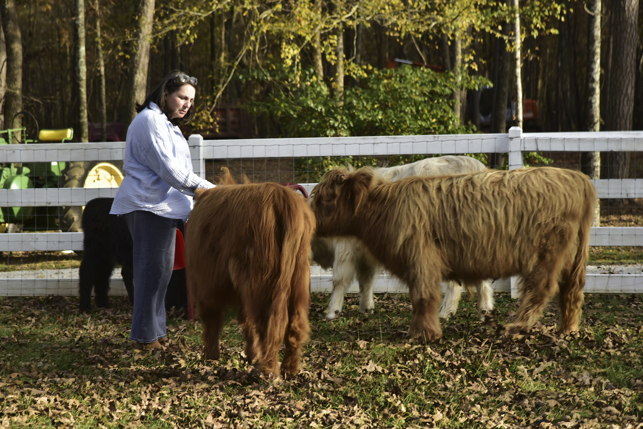 44 Farmhouse WEB 055